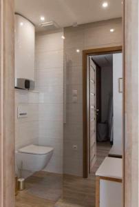 a bathroom with a toilet and a shower in it at DIAMOND - Luxusný Apartmán Marco in Podhájska +12 photos