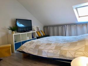 Un dormitorio con una cama y un televisor de pantalla plana. en maison cocooning, en Gesnes-le-Gandelin
