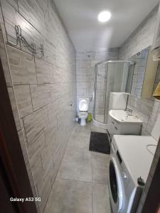 a bathroom with a toilet and a sink and a shower at Apartman T&N 