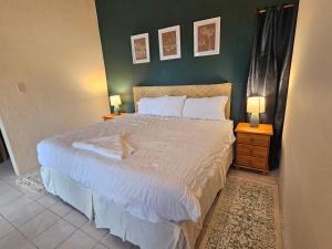ein Schlafzimmer mit einem großen Bett und zwei Lampen in der Unterkunft Cozy Flat in San Ignacio Close to Downtown! in San Ignacio