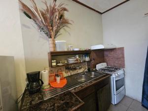 een kleine keuken met een wastafel en een fornuis bij Cozy Flat in San Ignacio Close to Downtown! in San Ignacio
