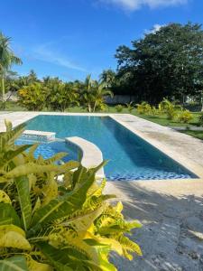 a swimming pool with chairs and palm trees next to it at Villa Hermanos Luciano 
