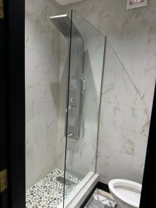a shower with a glass door next to a toilet at The Jewel in Kingston