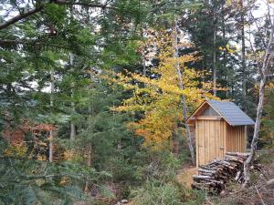 a small wooden shed in the middle of a forest at TrekkingCamp Himmelsterrassen in Bad Peterstal-Griesbach +11 photos