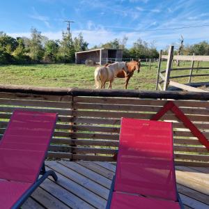 a horse standing in a field next to two chairs at le perchoir a 500m des plages in Cancale