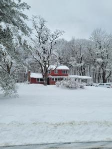 Hannah's Birch Farm 10 Min to Gore Ski Mt. في Johnsburg: منزل احمر في ساحه مغطاه بالثلوج مع الاشجار