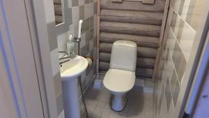 a small bathroom with a toilet and a sink at Villa Laakson Helmi 1 с камином, сауной, SPA, на берегу озера in Himos +74 photos