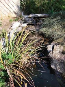 a garden with a pond and some grass and rocks at La maison aux escargots *Jacuzzi* in Hénin-Beaumont