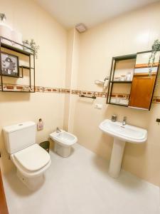 a bathroom with a toilet and a sink at Apartamento Castillo de Belmez in Bélmez