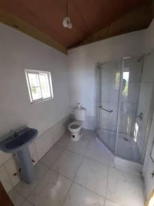 a bathroom with a shower and a sink and a toilet at Backra`s Villa in Port Antonio