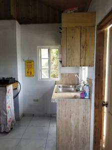 une cuisine avec un évier et une fenêtre dans l'établissement Backra`s Villa, à Port Antonio