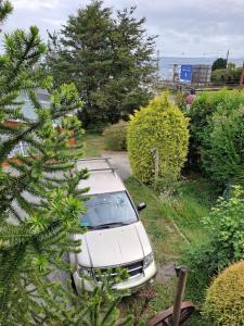 a white car parked in a driveway next to a tree at Cabaña a pasos de la Playa in Puerto Montt