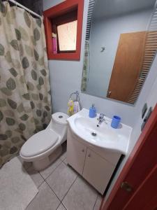 プエルトモントにあるCabaña a pasos de la Playaのバスルーム(トイレ、洗面台、鏡付)