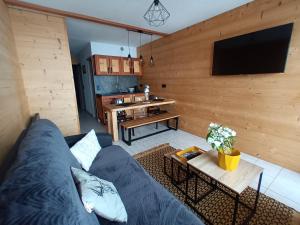 un soggiorno con divano blu e TV di appartement montagne- le petit Chaillol a Saint-Michel-de-Chaillol