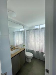 a bathroom with a toilet and a sink and a mirror at Nuevo alojamiento en el corazón Iquique in Iquique