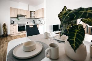 Dapur atau dapur kecil di Byt 21 v Rezidenci Bílý lev na náměstí