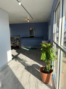 a blue room with a potted plant and a tv at Travelers Inn Topeka in Topeka