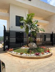 einen Garten vor einem Haus mit einer Palme in der Unterkunft Ochi Rios Pyramid Point Vacation Stay in Windsor
