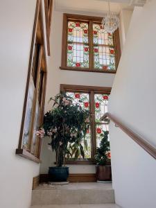 a hallway with windows and potted plants and a chandelier at Handcrafted stained-glass cottage, free parking in Hobart