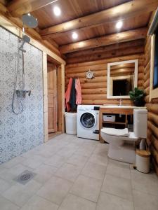 a bathroom with a toilet and a washing machine at Tirtsu puhkemaja 