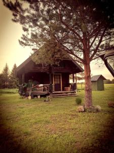 una cabaña de madera con un árbol delante en Tirtsu puhkemaja, 