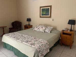 a bedroom with a large bed and a chair at Hotel Formigas na Figueira in Tibagi