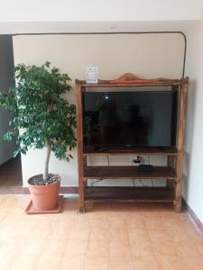 un televisor sentado en un puesto junto a una planta en La Evelia, en Salta