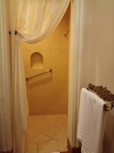 ein Bad mit Dusche, WC und Duschvorhang in der Unterkunft Real Hacienda Santo Tomás in El Hospital