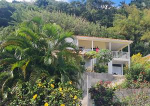 a house on a hill with a palm tree at Villa Zéphyr Domaine roses des vents in Sainte-Marie