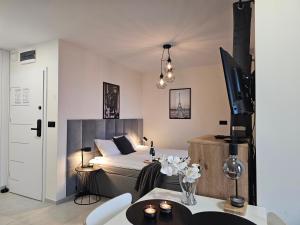 een slaapkamer met een bed en een tv in een kamer bij URBAN APARTMENTS PREMIUM Baildona 18B with GARAGE in Katowice