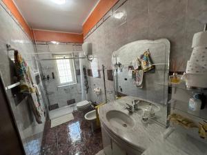 a bathroom with a sink and a shower at Central House in Castel di Sangro