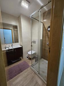 a bathroom with a shower and a sink and a toilet at Apart Nel in Praia
