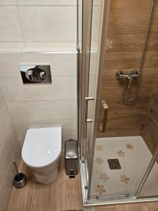 a small bathroom with a toilet and a shower at Apart Nel in Praia +9 photos