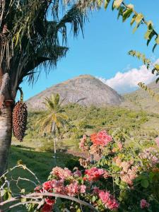 a mountain with a bunch of flowers and a palm tree at Eco Flat 322 - Hotel Fazenda Pedra do Rodeadouro in Bonito