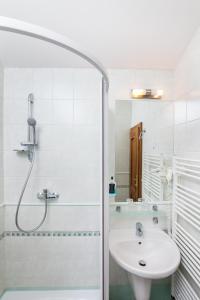 Een badkamer bij Hotel Jelínkova vila