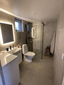 a bathroom with a toilet and a sink and a shower at Eget hus anno 2024 Danderyd, 15min till STHLM city in Danderyd