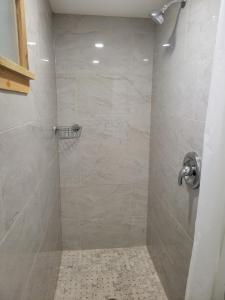 a bathroom with a shower with a tiled shower at 1 bedroom basement apartment with free parking in Brampton