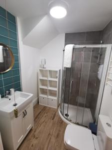 a bathroom with a shower and a toilet and a sink at Lovely Seafront 2 bed flat in Aberystwyth in Aberystwyth