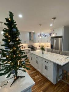 una cocina con un árbol de Navidad en una cocina en Stunning and Beautiful 4 beds, 3 bath house located in Quincy near Quincy Adam RED LINE transit, en Quincy