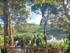 Blick auf einen See in einer Teeplantage in der Unterkunft Bumina EENK 