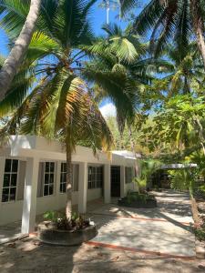 a building with two palm trees in front of it at Casa Airam Beachfront Villa in Sian Kaan in Tulum