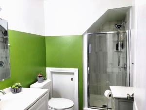 baño verde con aseo y ducha en Nice and cozy whole house 25min to Niagara falls, en Buffalo