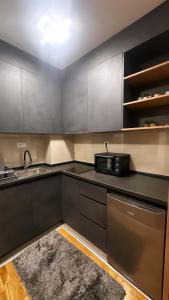 兹拉蒂博尔Silver Wolf SPA & relax的厨房里有水槽和微波炉