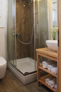 a shower with a glass door in a bathroom at Family friendly house with a swimming pool Duge Njive, Zagora - 22311 in Vrgorac