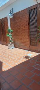 a patio with a brick wall and a plant at A&F 4 Habitación con baño privado in San Fernando del Valle de Catamarca