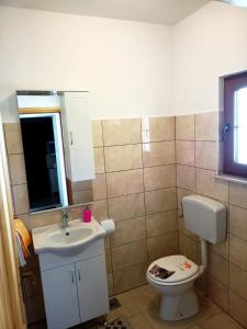 Vonios kambarys apgyvendinimo įstaigoje Family friendly house with a swimming pool Garica, Krk - 22344