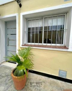 a cat sitting in the window of a house at Complejo Sucre I in San Luis