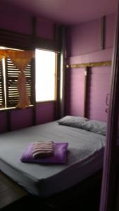 桐艾的住宿－Crazy Monkey，紫色的客房设有两张床和一扇窗户。