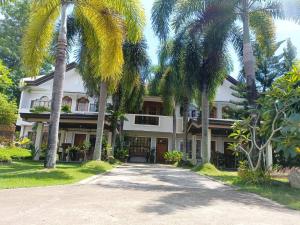a house with palm trees in front of it at Baywalk Garden Pension House in Masbate