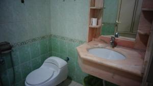 y baño con lavabo y aseo. en فندق سفير العرب, en Rafha